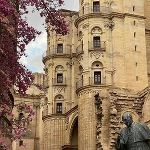 letmalaga-cathedral.1costadelsol.com/